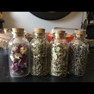 Little Witch Beginner Herbs!